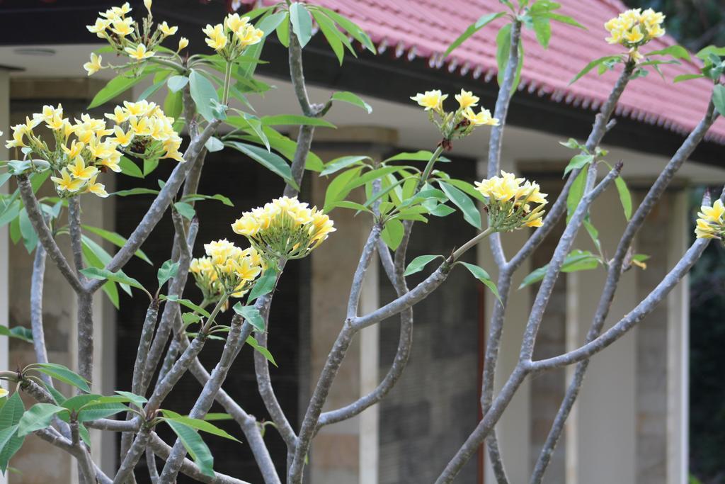 Lala Home Stay Nusa Dua  Eksteriør billede